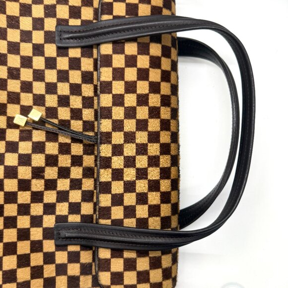 Vintage Limited Edition Louis Vuitton Damier Sauvage Lionne Pony Hair Handbag - Picture 7 of 12